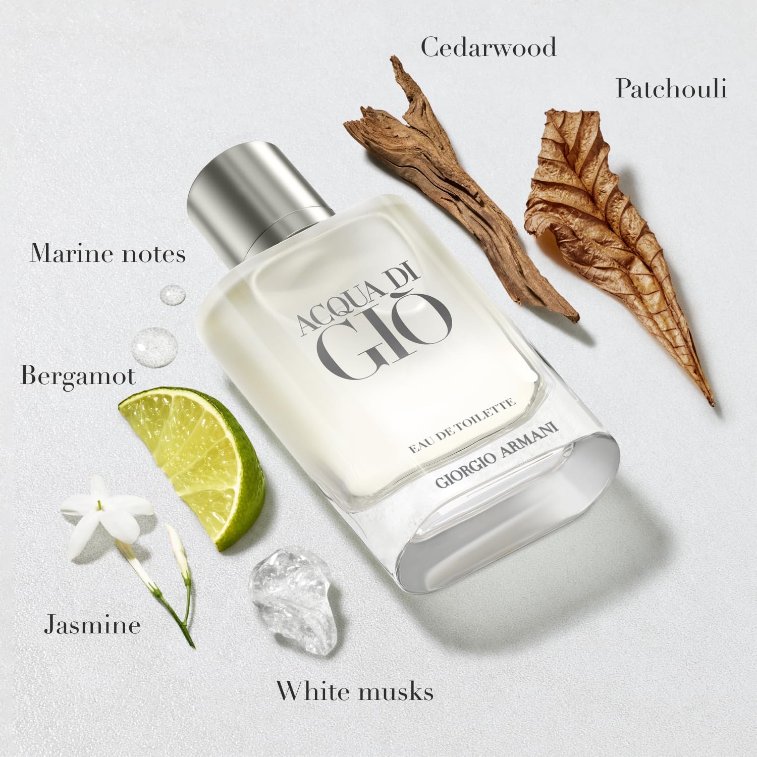 Armani beauty– Acqua di Giò Eau de Toilette – 2-Piece Cologne Set for Men ($192 Value) – Full Size (3.4 Fl Oz) & Travel Size (1.0 Fl Oz)